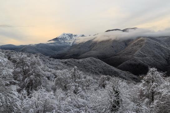 בית מלון כפרי Solis Sochi Suites