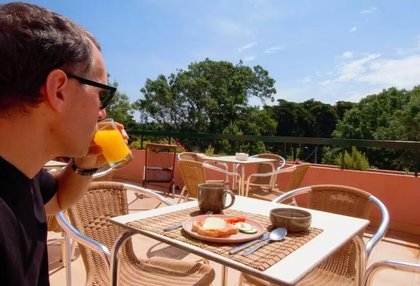 Wot Sintra Sarrazola