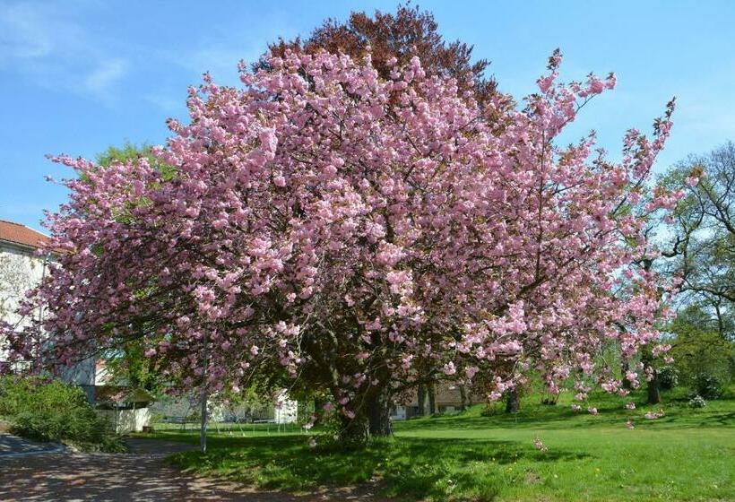 Пансион Katrinebergs Folkhögskola B&b