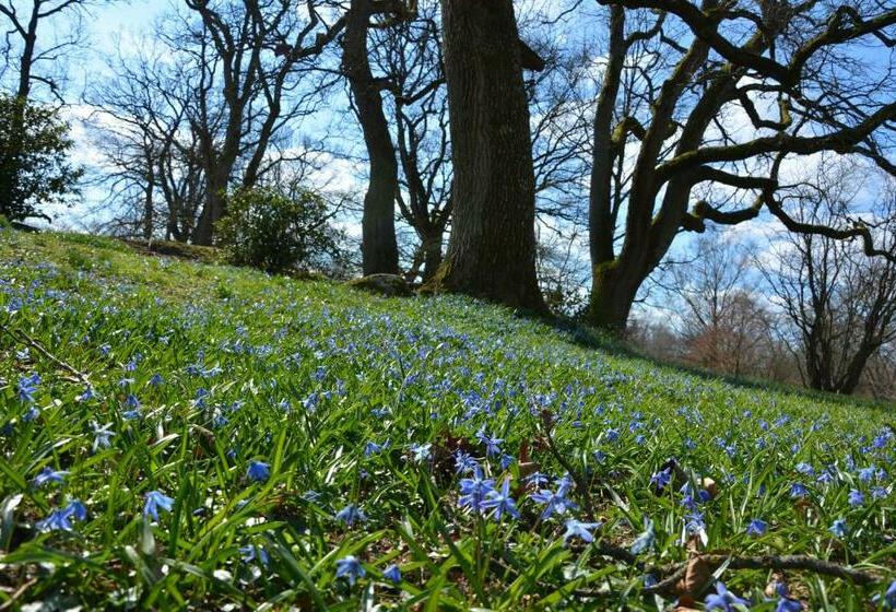 Пансион Katrinebergs Folkhögskola B&b