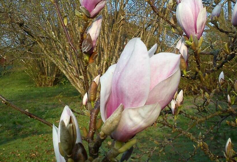 Пансион Katrinebergs Folkhögskola B&b