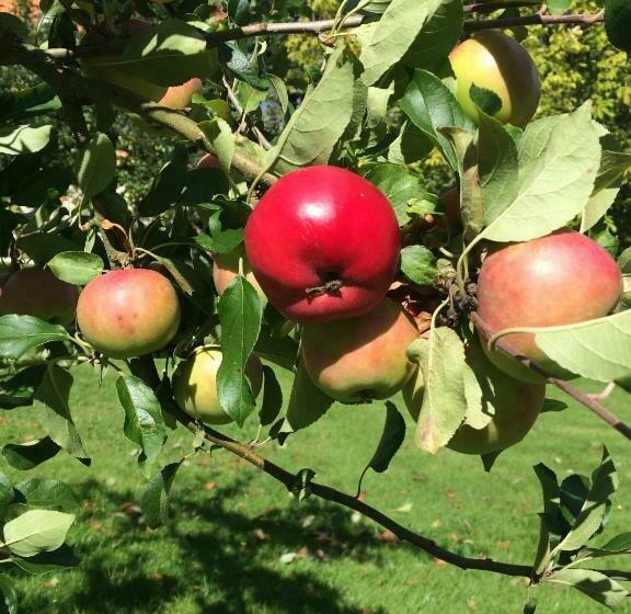 Пансион Katrinebergs Folkhögskola B&b