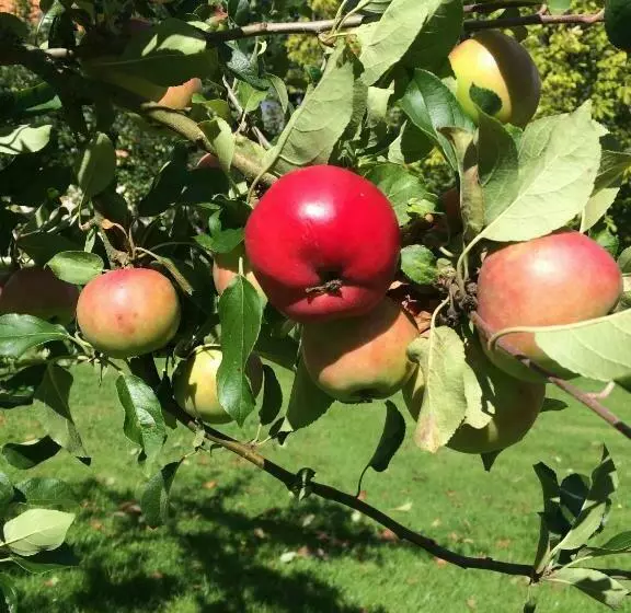 Majatalo Katrinebergs Folkhögskola B&b
