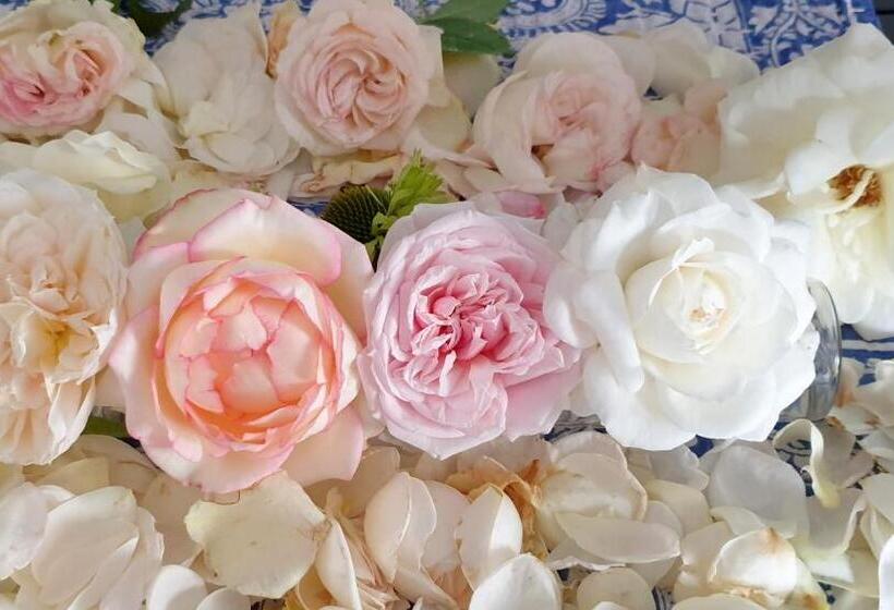 Bed and Breakfast Marie La Fée Endormie,  Breizh Buffet  & Balnéo