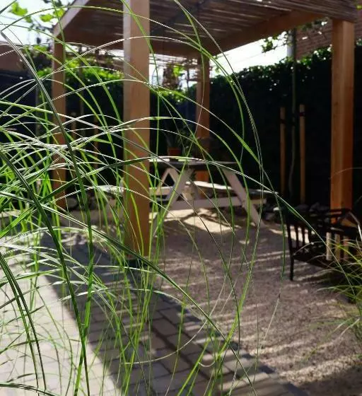 Aamiaismajoitus (B&B) Studio Mañana