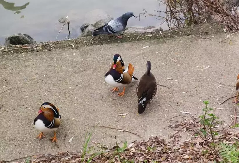 Aamiaismajoitus (B&B) Les Pingouins De La Marne