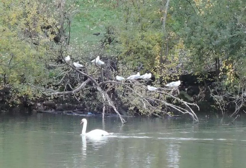 Aamiaismajoitus (B&B) Les Pingouins De La Marne