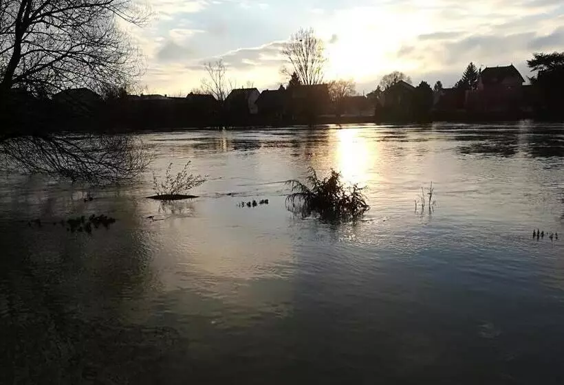Aamiaismajoitus (B&B) Les Pingouins De La Marne