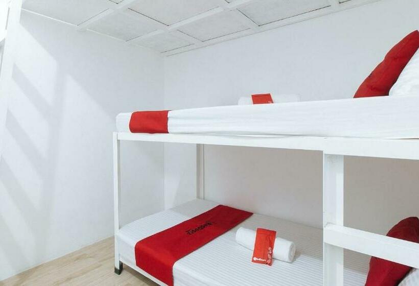 בית מלון כפרי Bernwoods Extyn B&b Dormitory