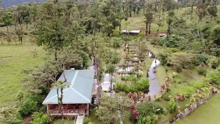 Hotelli Cabañas Los Laguitos Rio Celeste