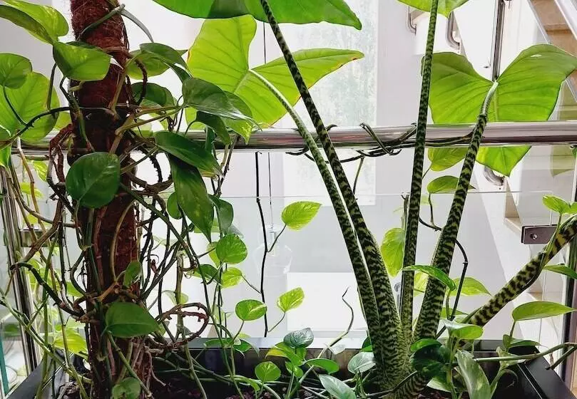 Hotelli Costa Atlantica