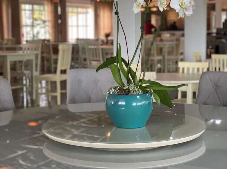 בית מלון כפרי Pousada Estancia Canastra