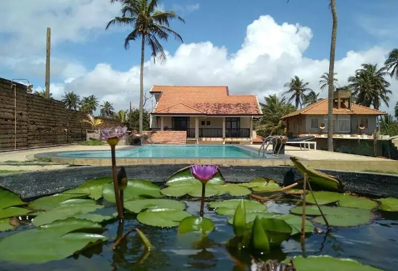 ホテル Pamunu Beach Resort