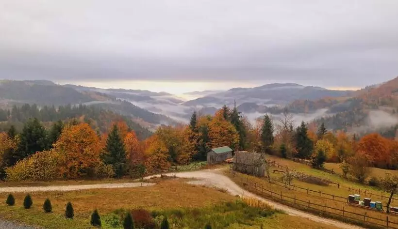Pensiunea Agroturistica Acvila Apusenilor