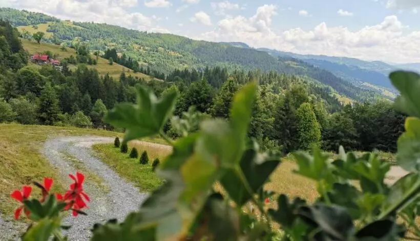 Pensiunea Agroturistica Acvila Apusenilor