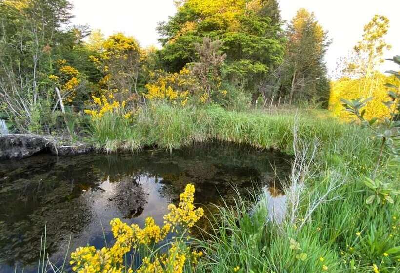 Отель & Cava Estancia Rilán