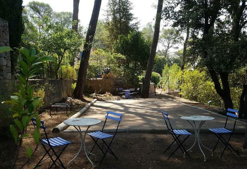 ベッドアンドブレックファースト Le Mas Des Hibiscus