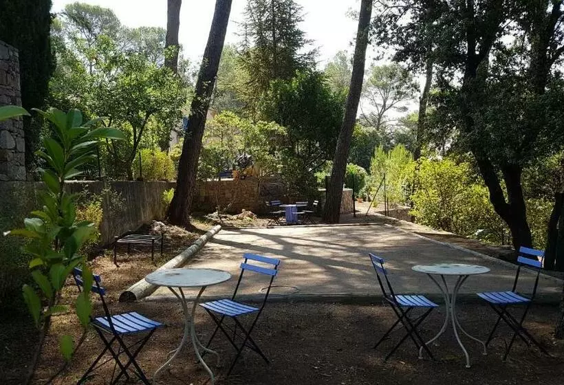 ベッドアンドブレックファースト Le Mas Des Hibiscus