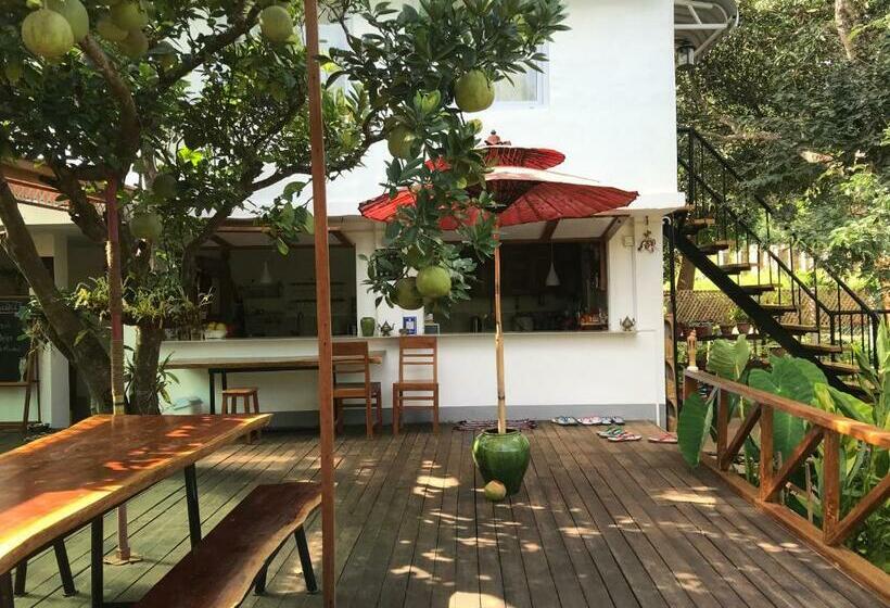 هاستل Cottage House