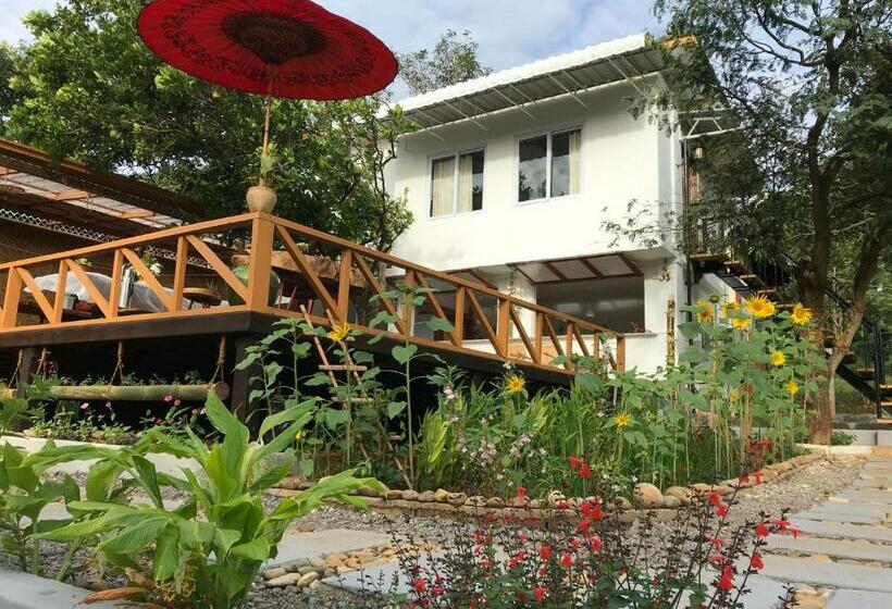 هاستل Cottage House