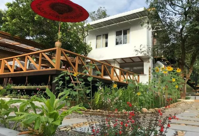 هاستل Cottage House