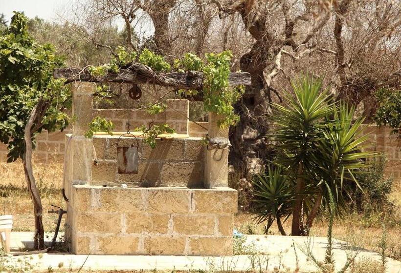 B&b Li Fichi Alezio/gallipoli