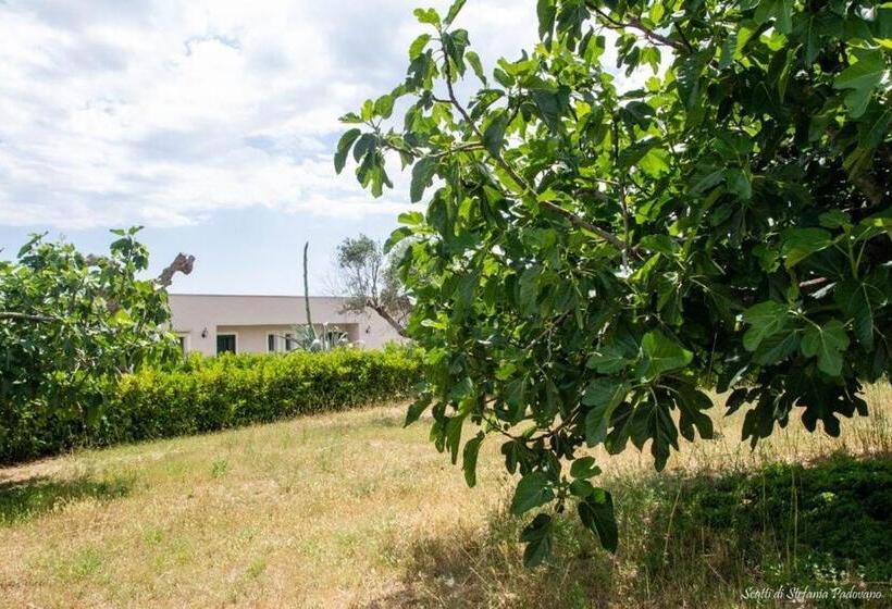 B&b Li Fichi Alezio/gallipoli