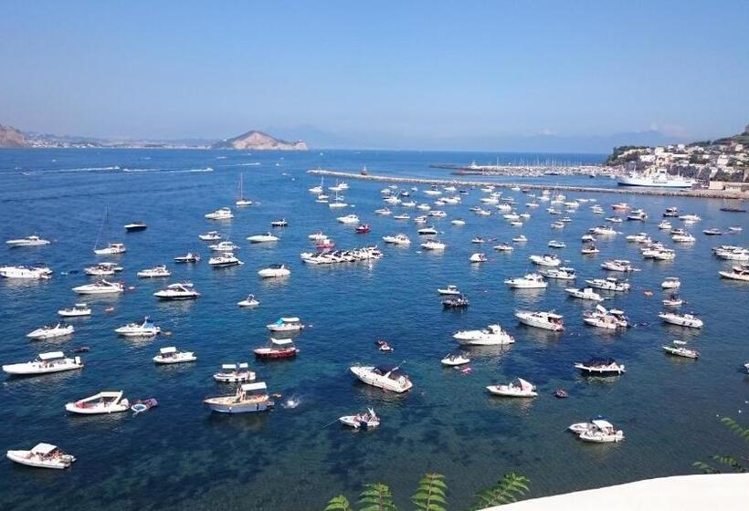 צימר Summer Paradise