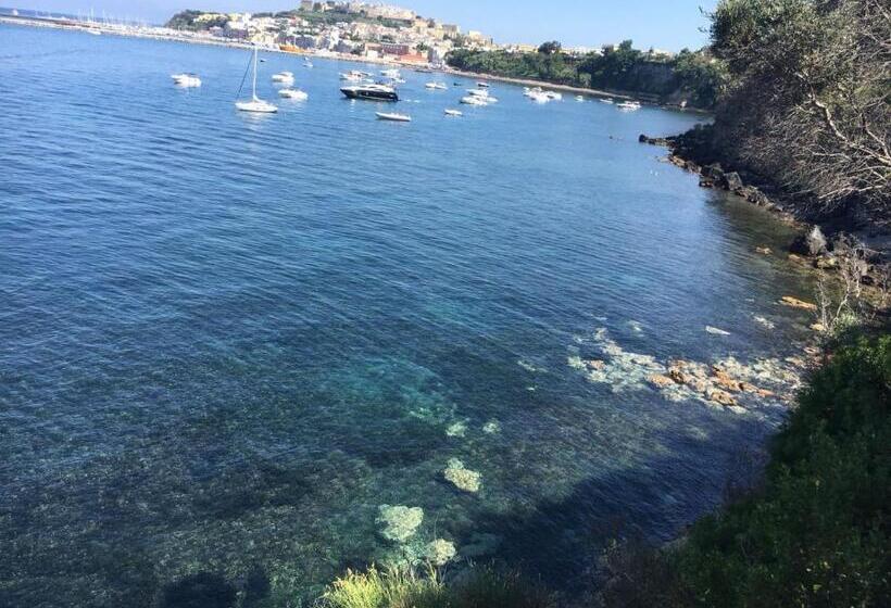 צימר Summer Paradise