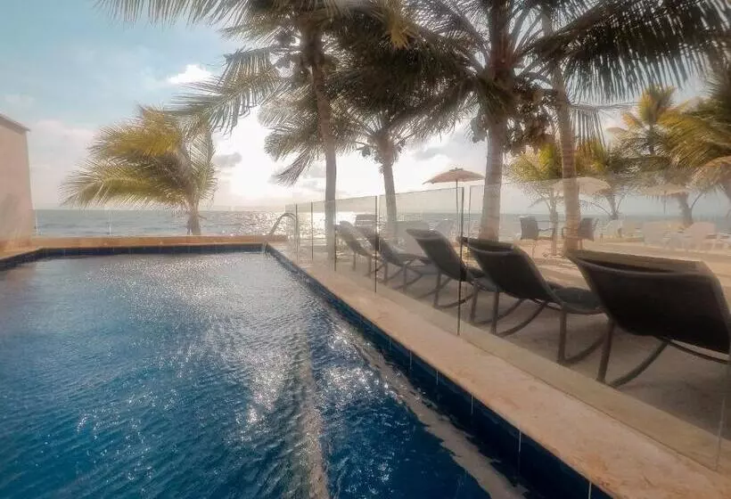 ホテル Rilux Tolu