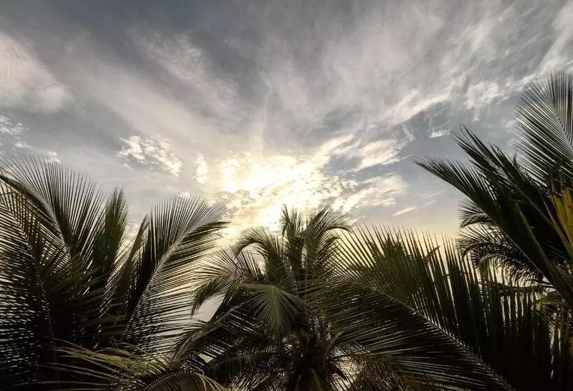 ホテル Rilux Tolu