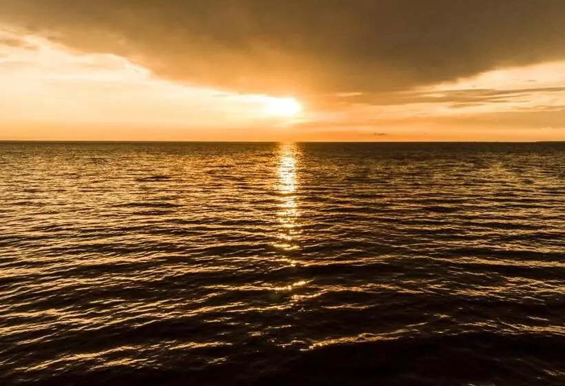 ホテル Rilux Tolu