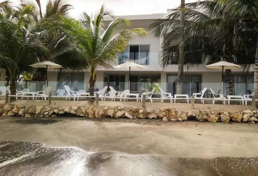 ホテル Rilux Tolu