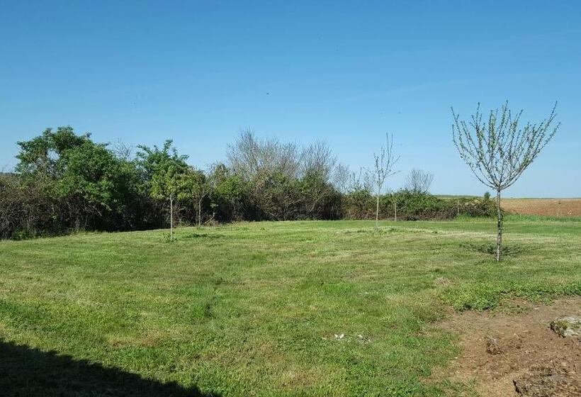 Пансион L Oiseau Bleu