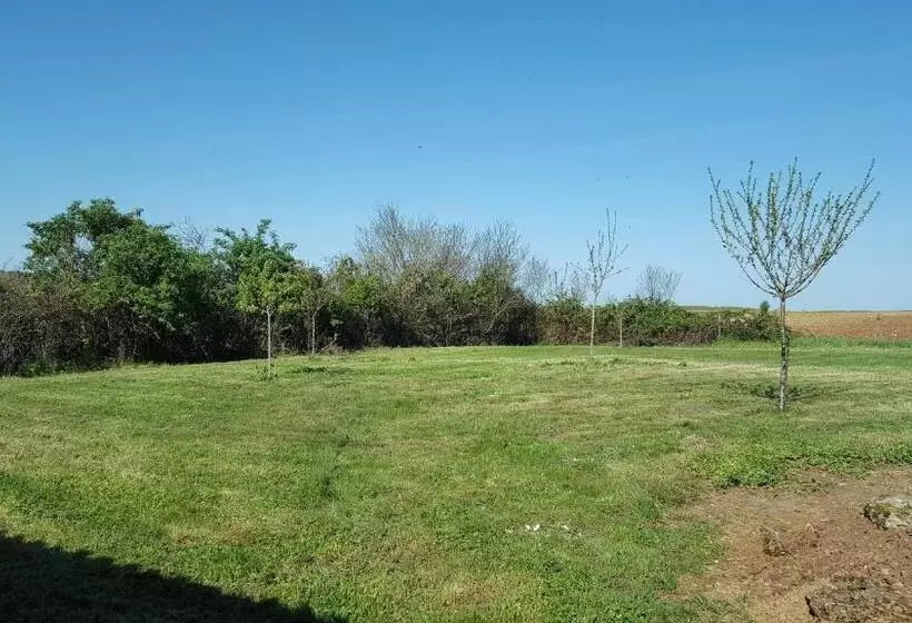 ペンション L  Oiseau Bleu