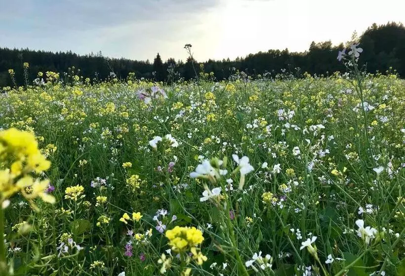 호텔 Gästehaus Rössle