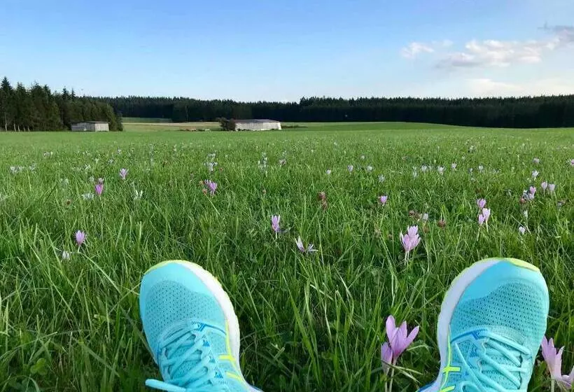 호텔 Gästehaus Rössle