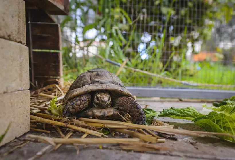 Hotel Hadjios Valley