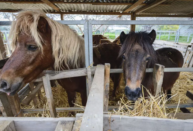 Hotel Hadjios Valley