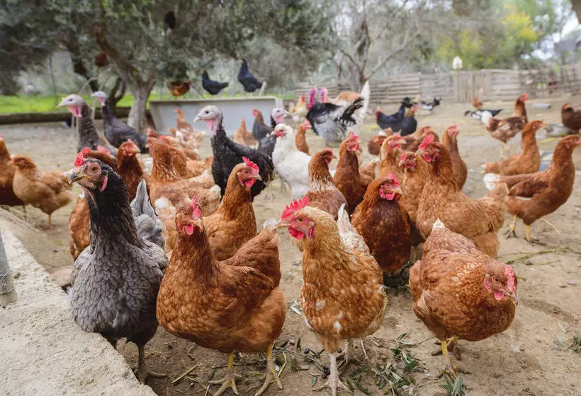 Hotel Hadjios Valley
