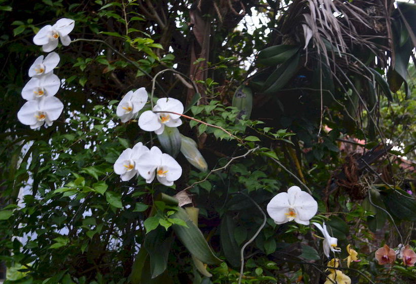 هتل The Hoi An Orchid Garden Villas