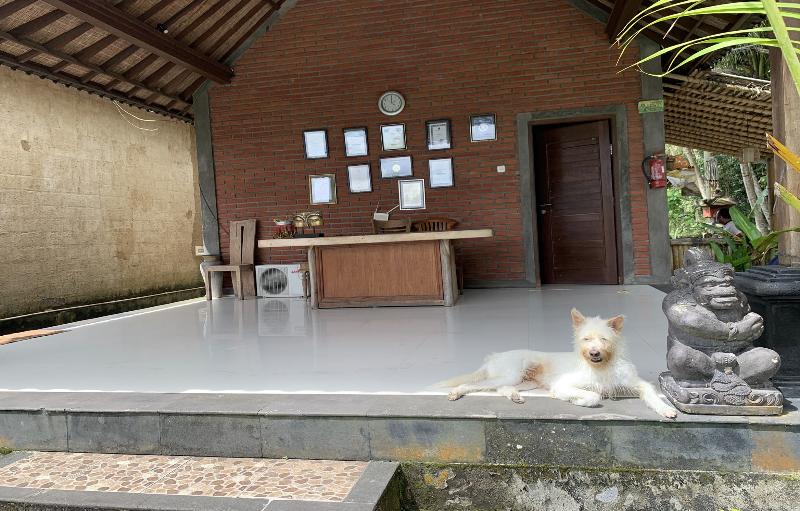 בית מלון כפרי Bagiya Suites & Villas