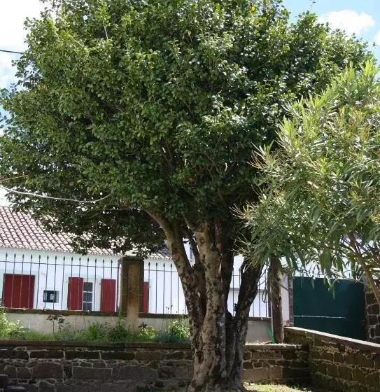 בית מלון כפרי Quinta Atlantis