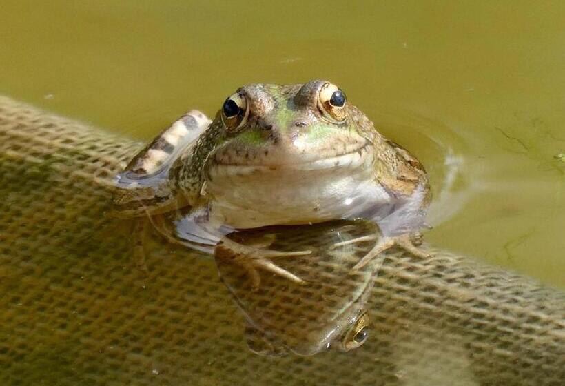 Vida Vi, Country House And B&b