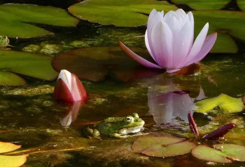 Vida Vi, Country House And B&b