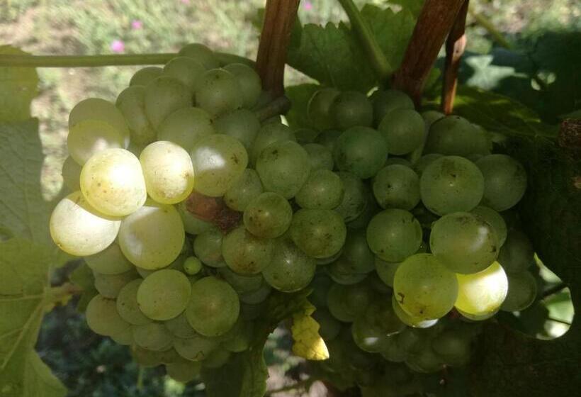 Apartmány Fojtova Studna