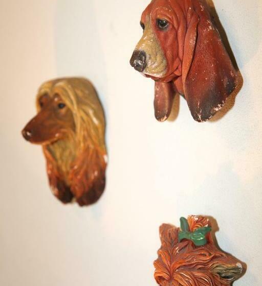 צימר Villa Organi