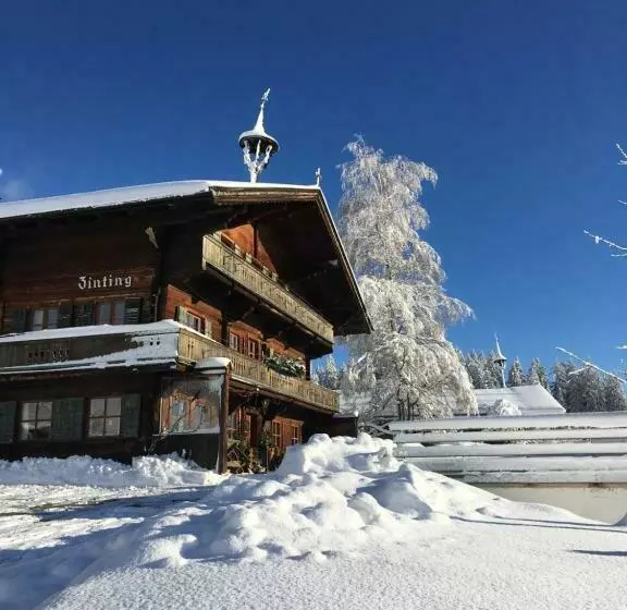 Bergpension Zinting