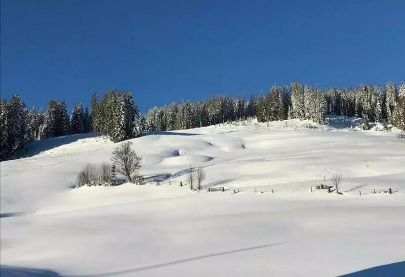 Bergpension Zinting