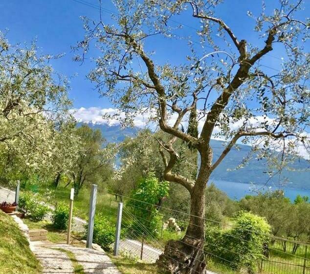 Caselli Vigole Al Sole